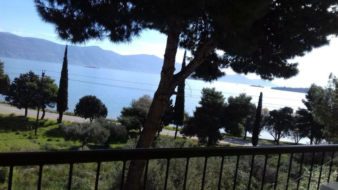 Villa Galaxídhion Buitenkant foto