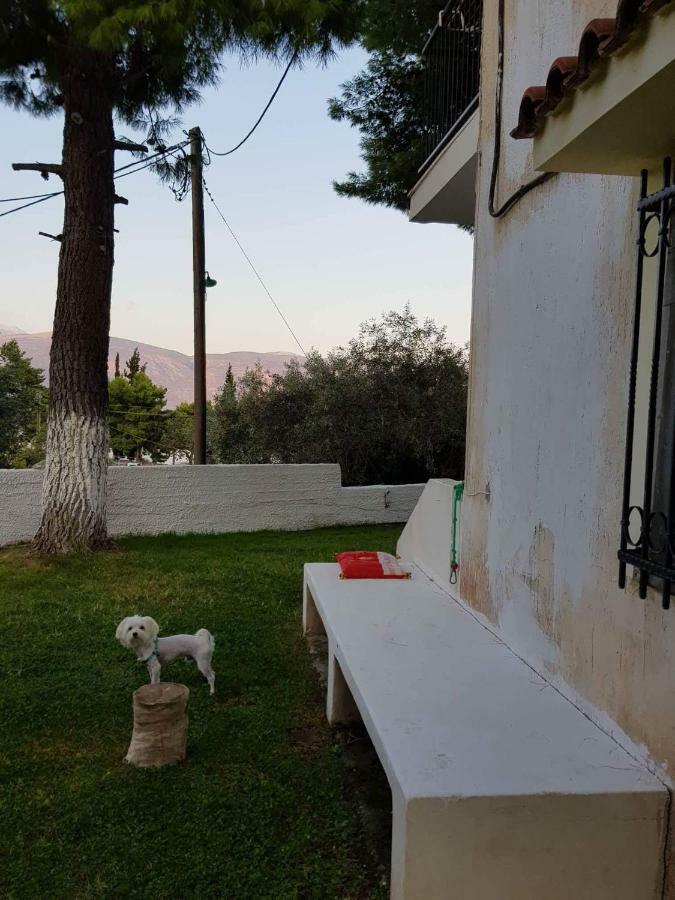 Villa Galaxídhion Buitenkant foto
